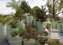 Sustainable Outdoor Space Enhancement and Care Techniques